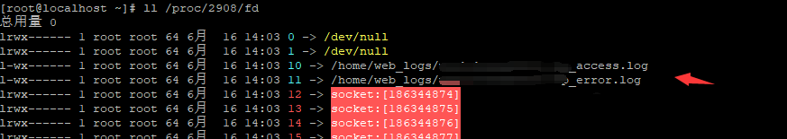 DƬ4.png